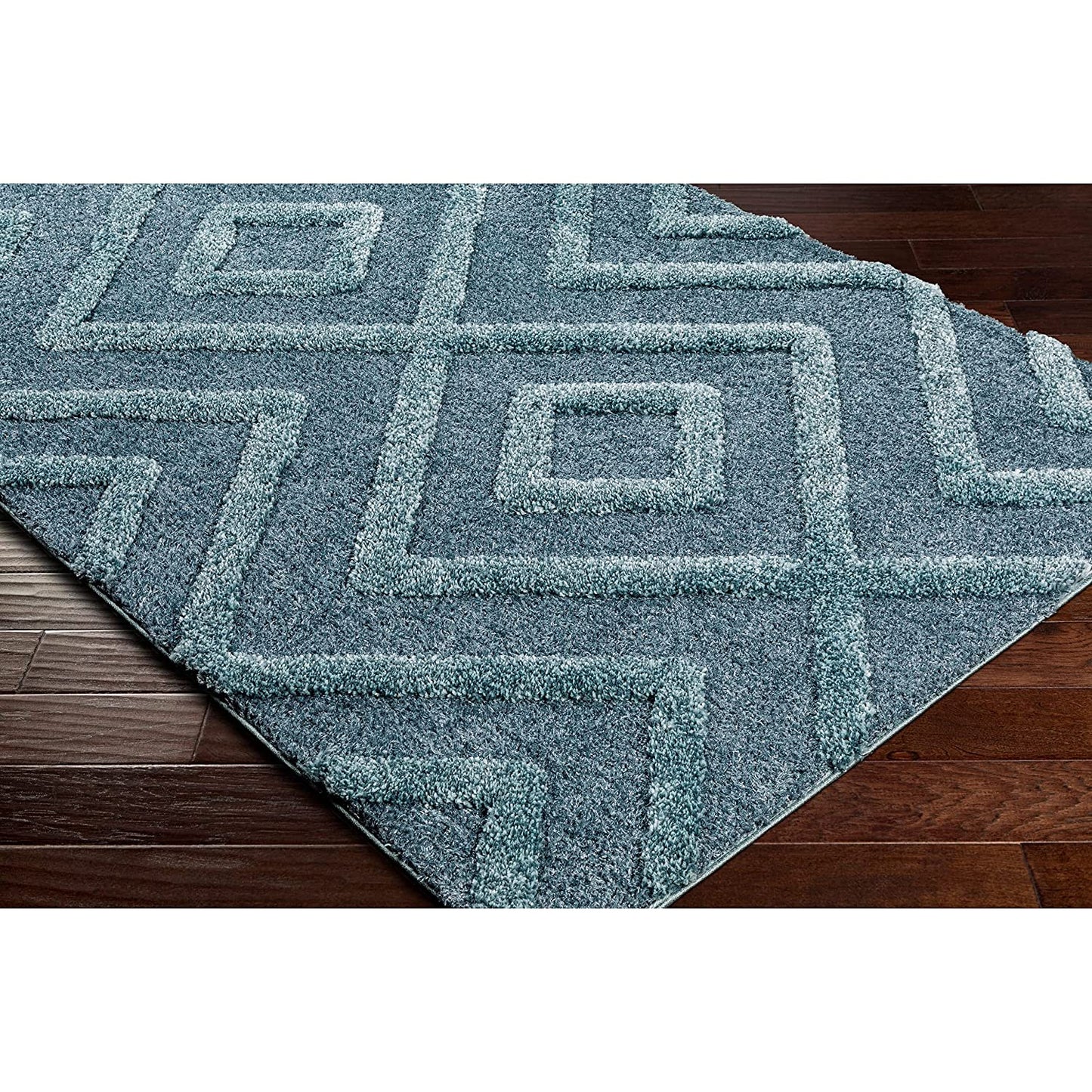 Blue Maze HL