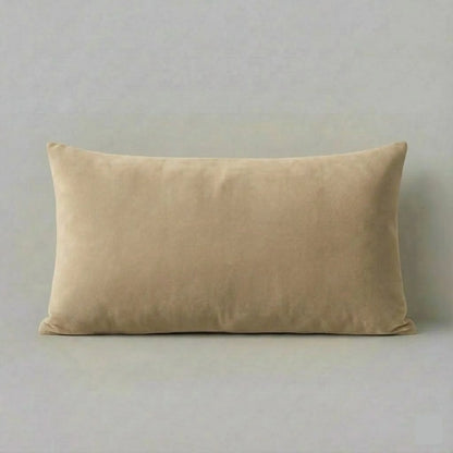 12X20 Inches Beige Velvet